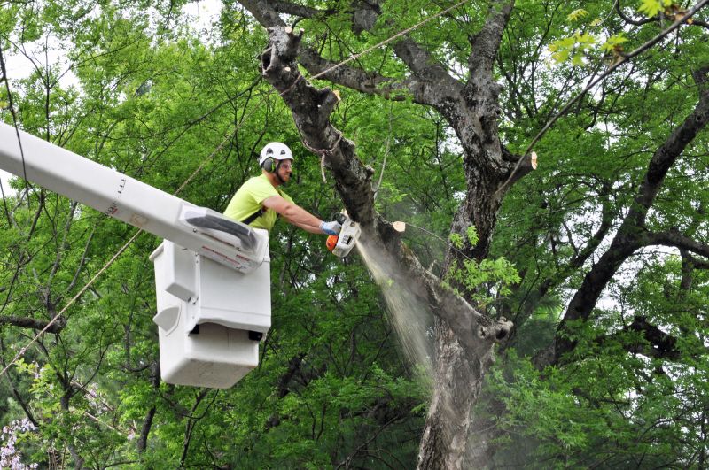 Limbs Removal