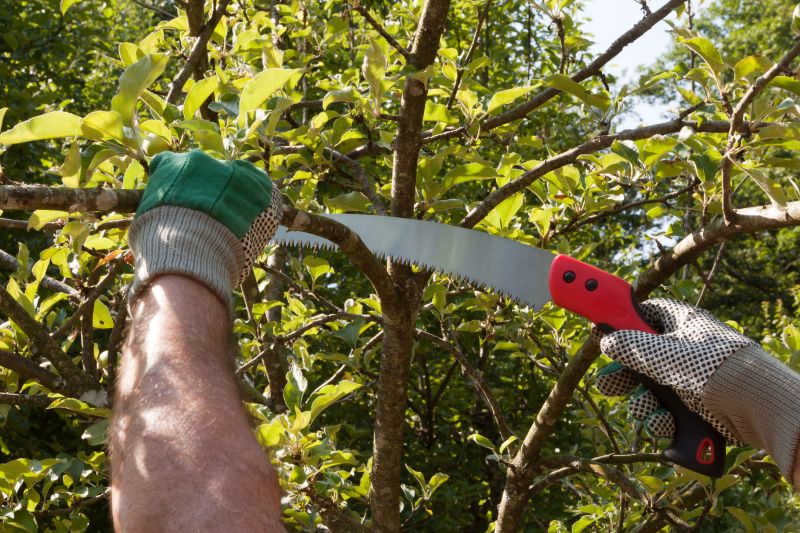 Limbs Removal