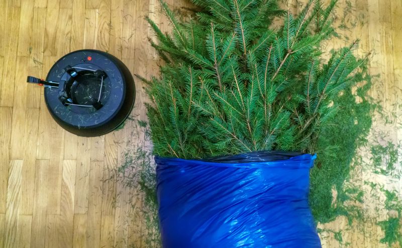 Pine Needle Raking