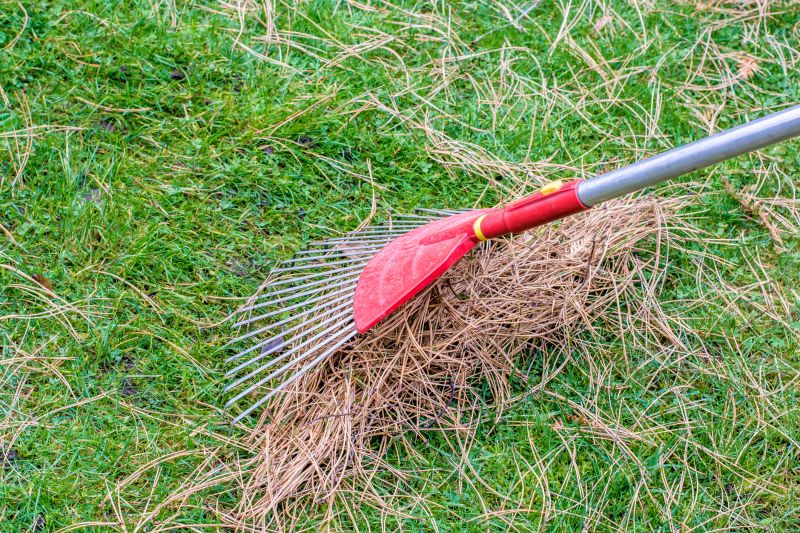 Pine Straw Raking