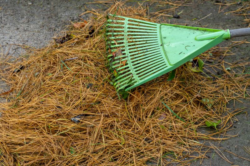 Pine Straw Raking
