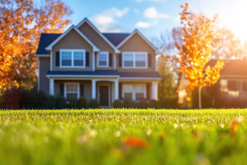 Spring Lawn Cleanup