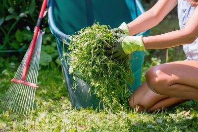 Spring Yard Cleanup