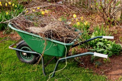 Spring Yard Cleanup