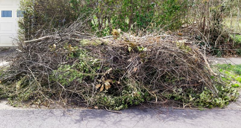 Tree Branch Disposal