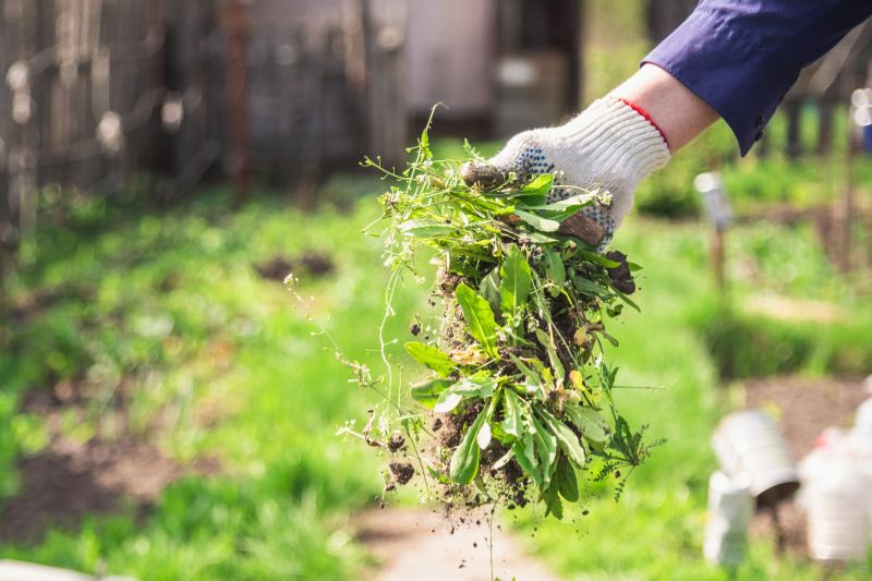 Weeding Service