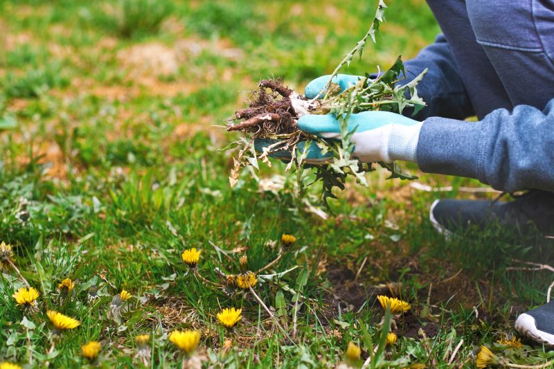 Weeding Service