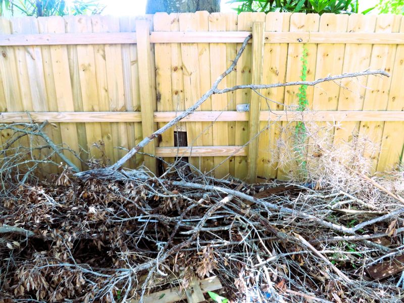 Wood Pile Removal