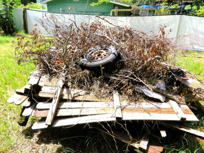 Wood Pile Removal