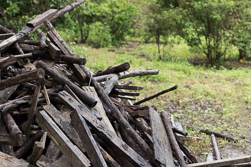 Wood Pile Removal