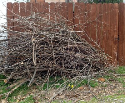 Wood Pile Removal