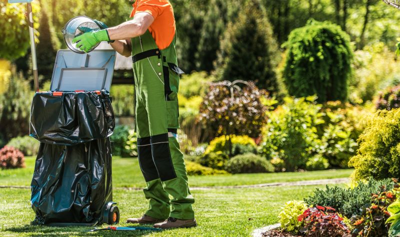 Yard Cleaning