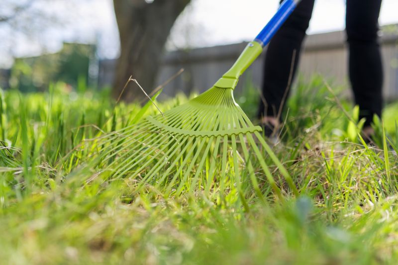 Yard Raking
