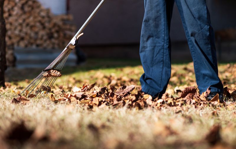 Yard Raking